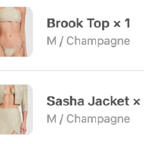 Devon Windsor Bikini Bundle - Picture 7 of 7